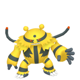6IV Electivire Indigo Disk Pokemon Scarlet and Violet